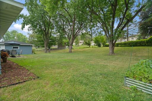 Large Backyard
