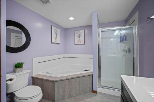 Full bathroom in the lower level with large, jacuzzi tub!