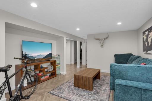 Lower Level Family Room
