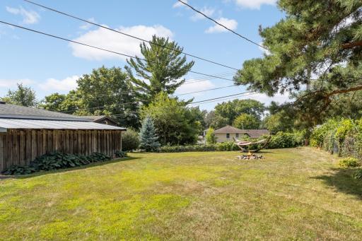 Backyard