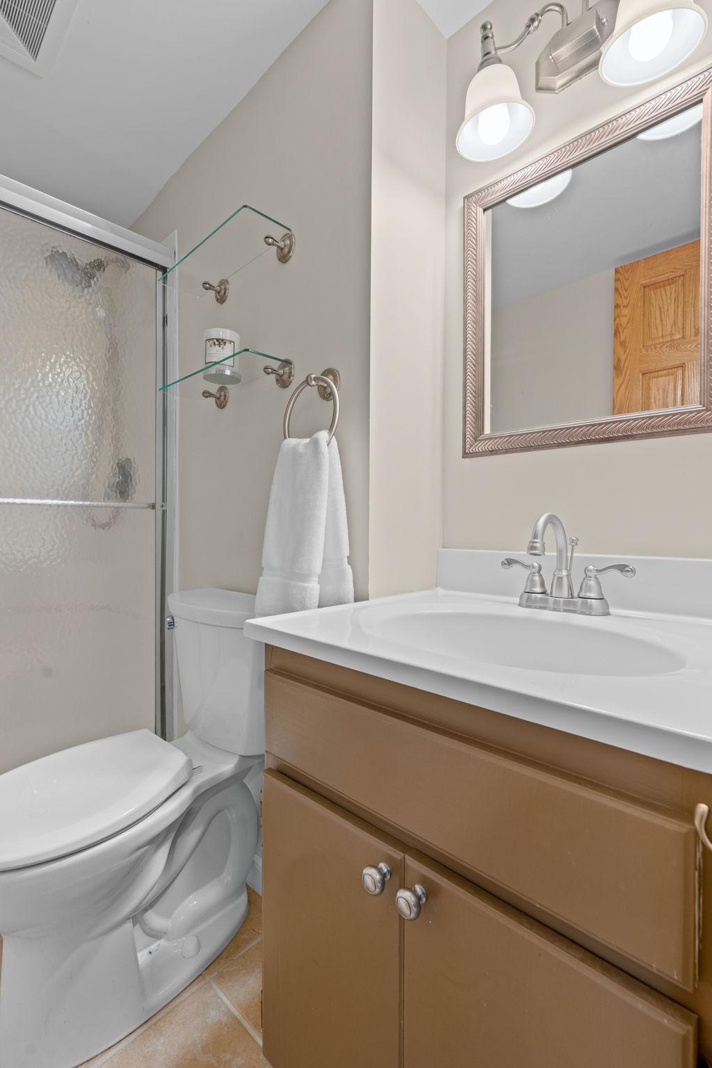 Lower level bathroom