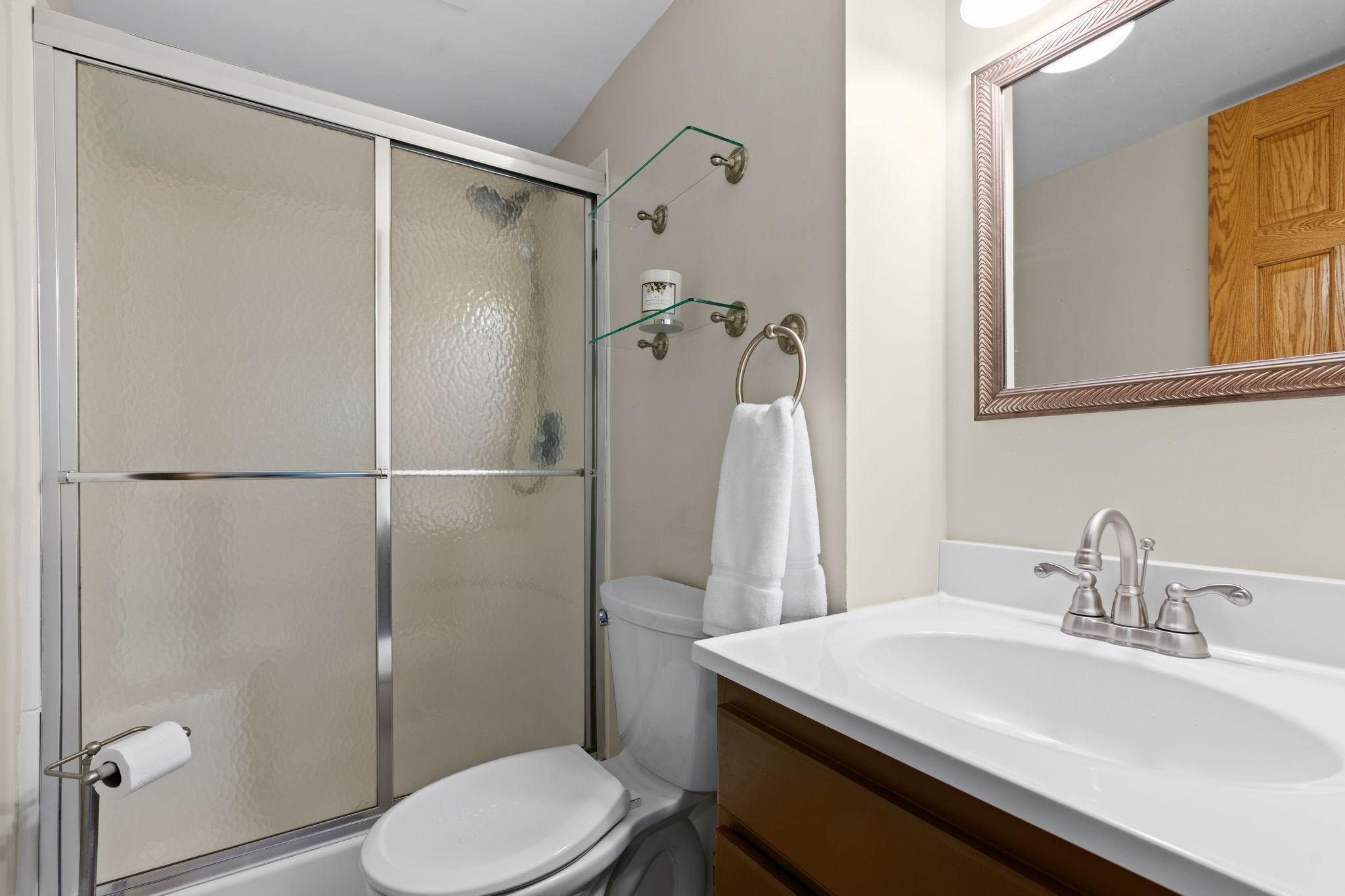Lower level bathroom