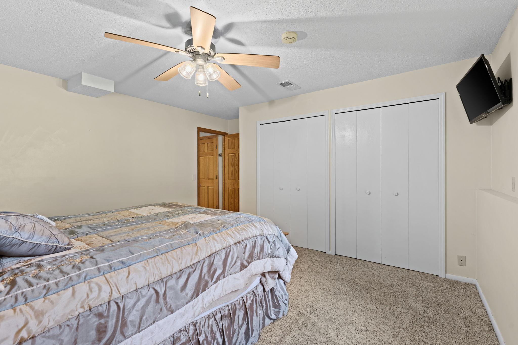 Lower level 4th bedroom