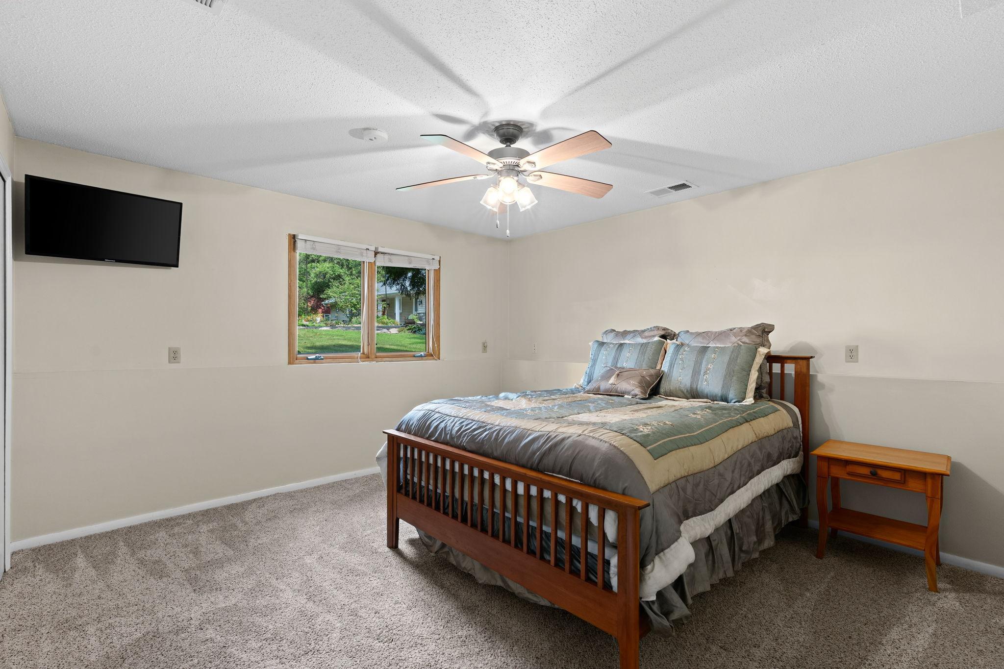 Lower level 4th bedroom