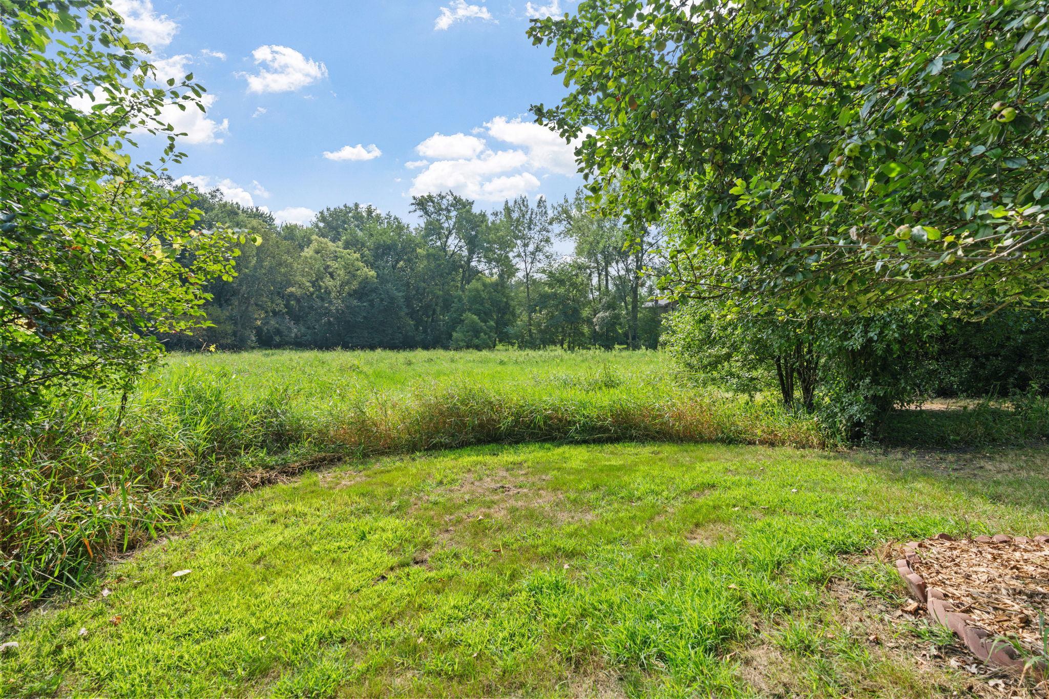 The huge backyard backs to 2+ acres of wetlands and 1.25+ acres of city land, complete with a creek and plenty of wildlife.