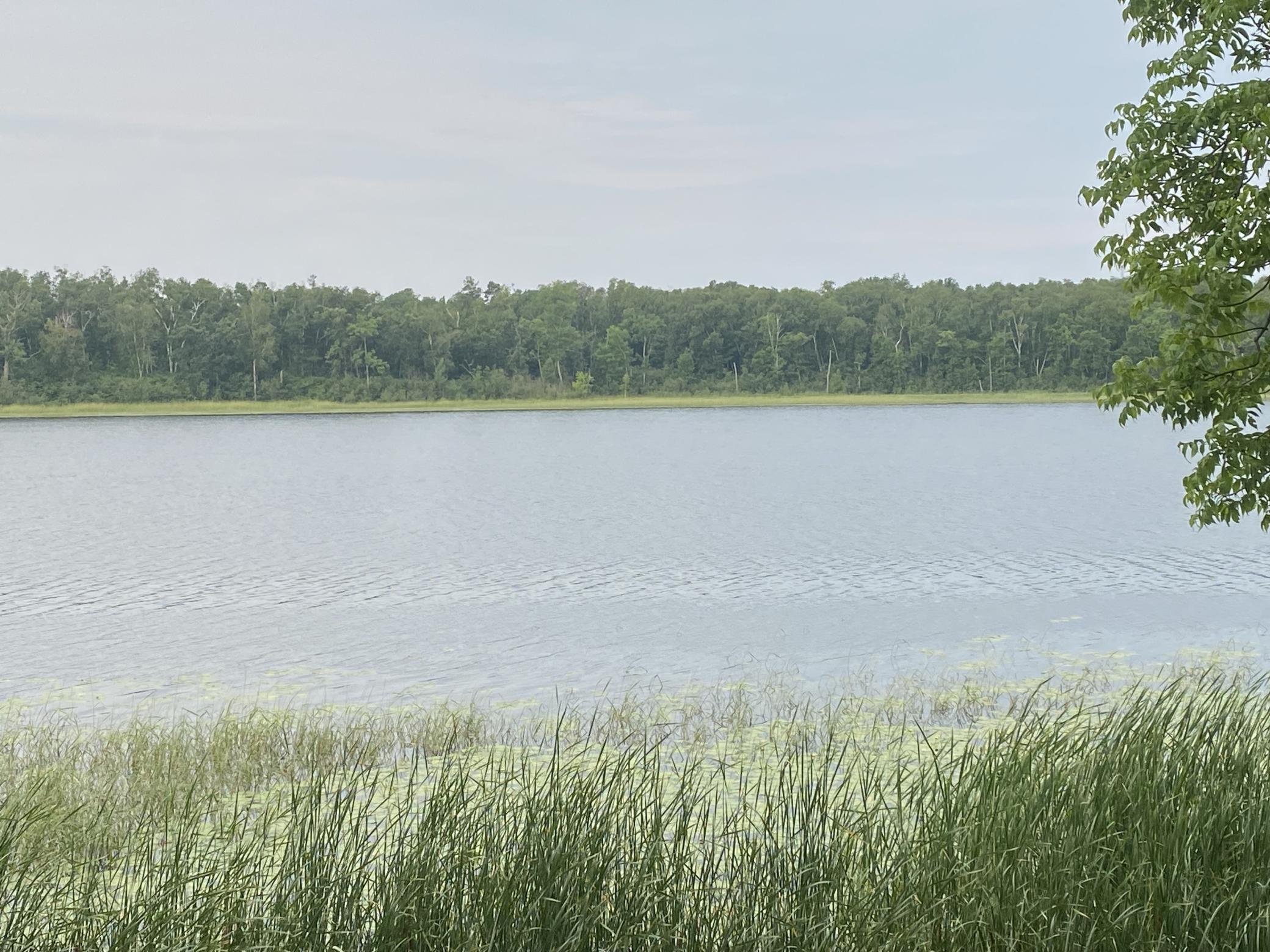 Environmental Lake