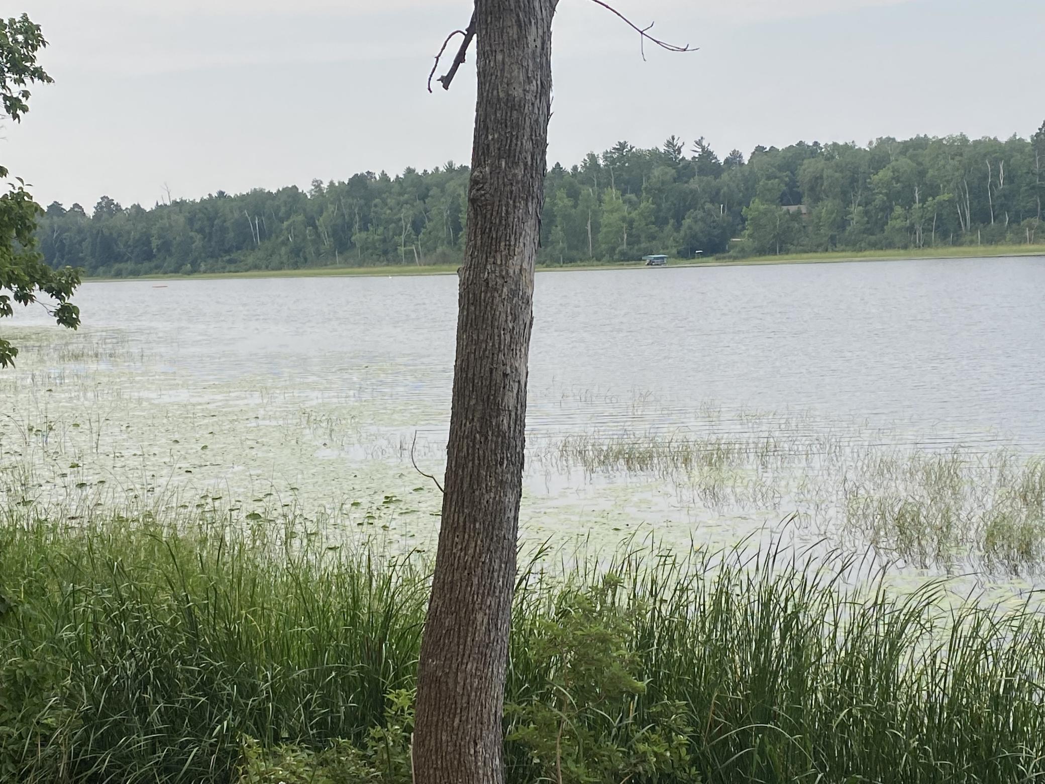 Mud Lake