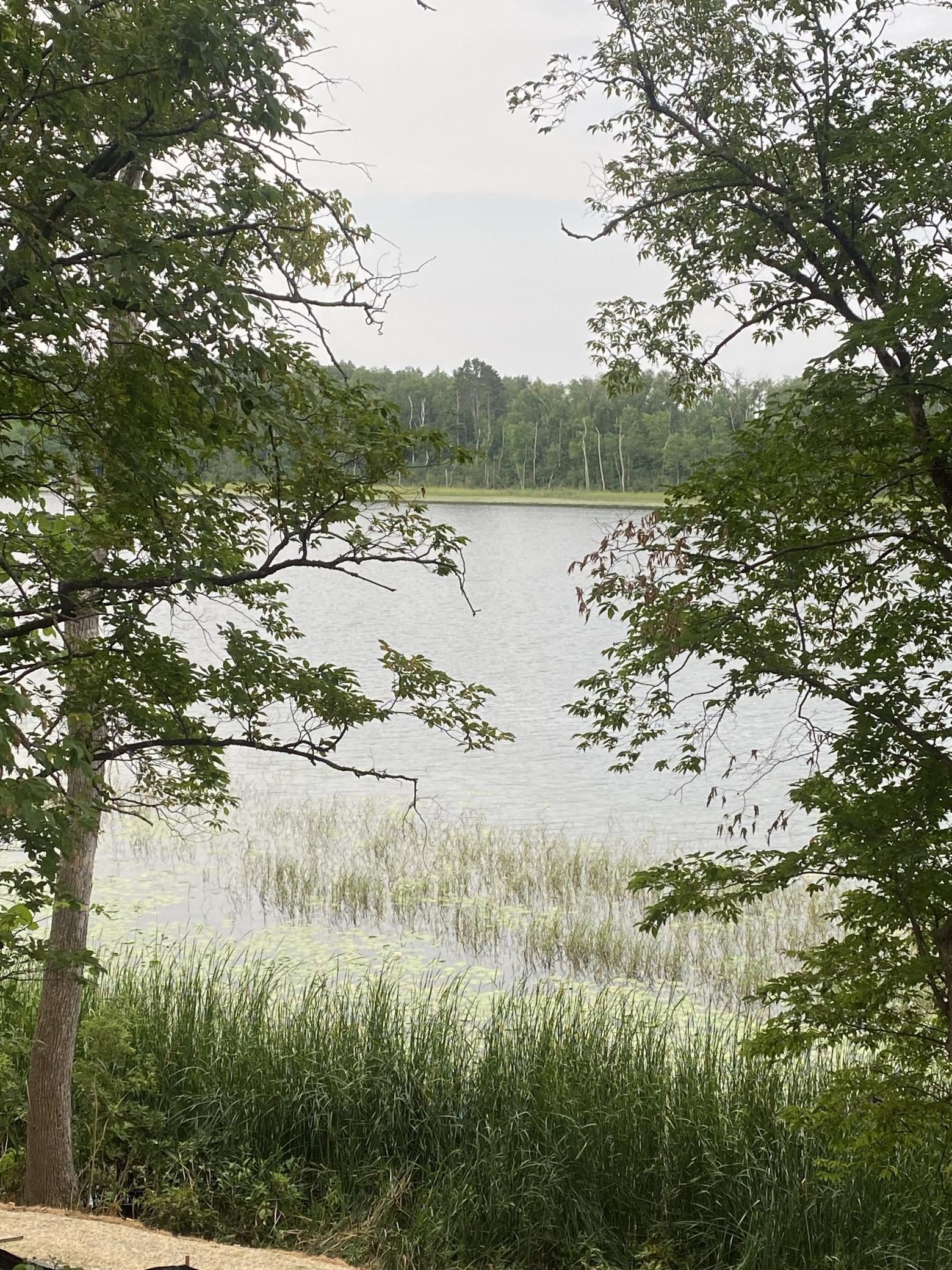 Property photo for TBD Wolf Ridge Drive, Cass Lake, MN 56633