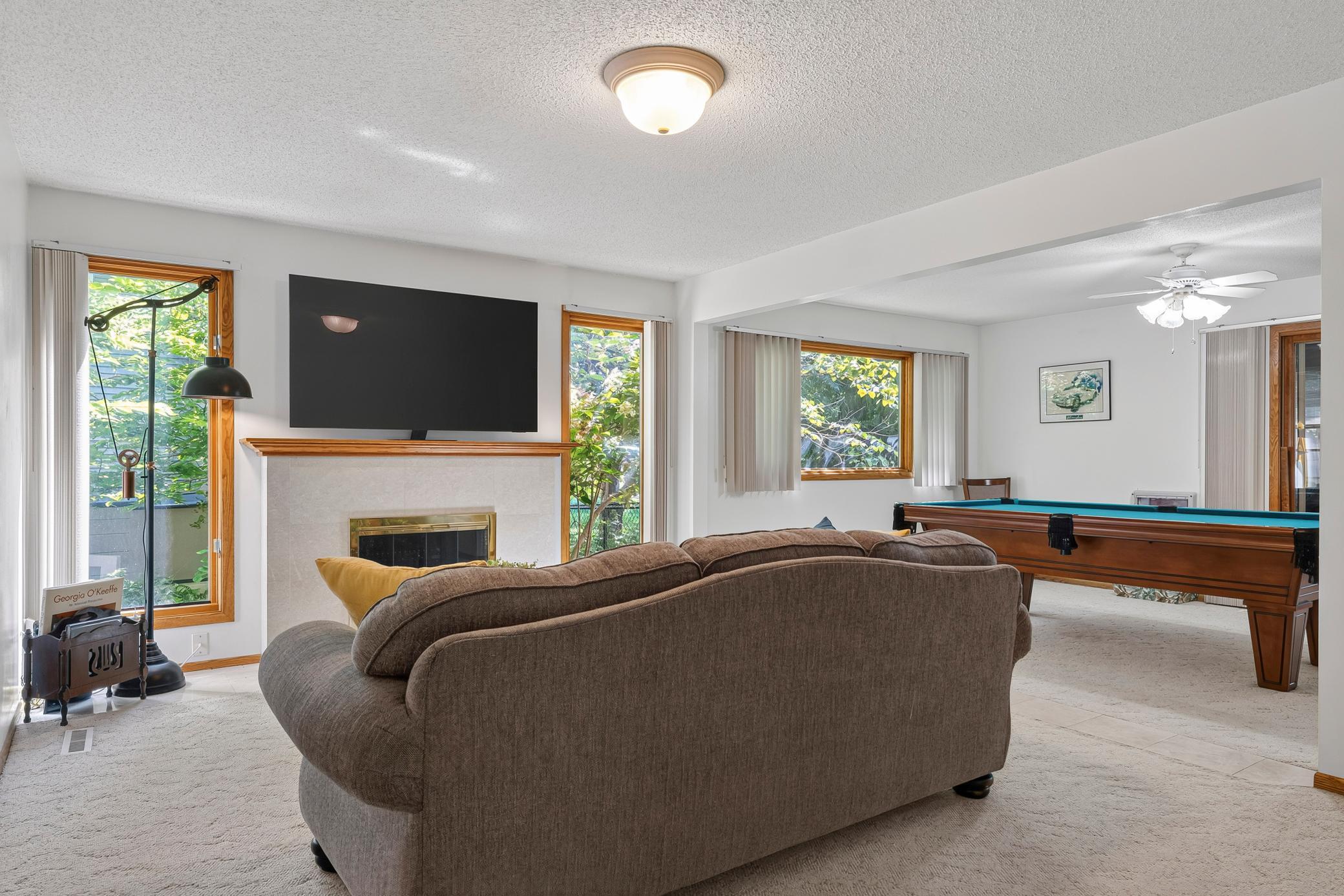 Lower level living room .jpg