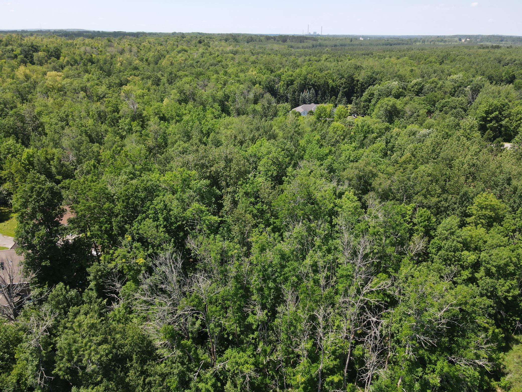 Copy of DJI_0024.JPG