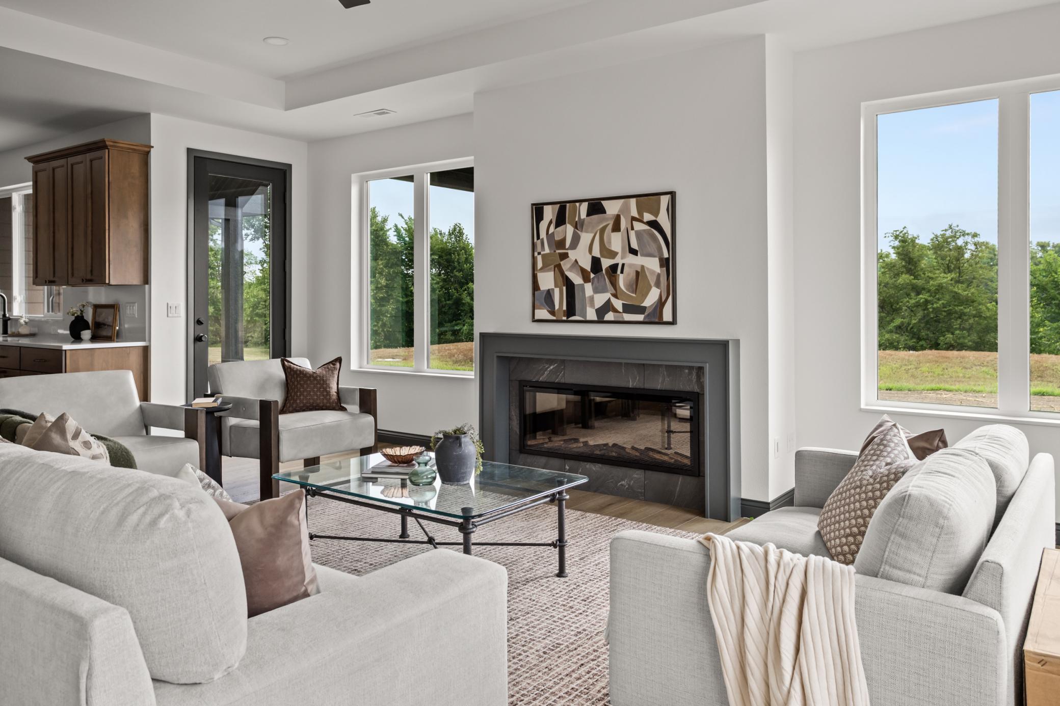 Living Room/Fireplace