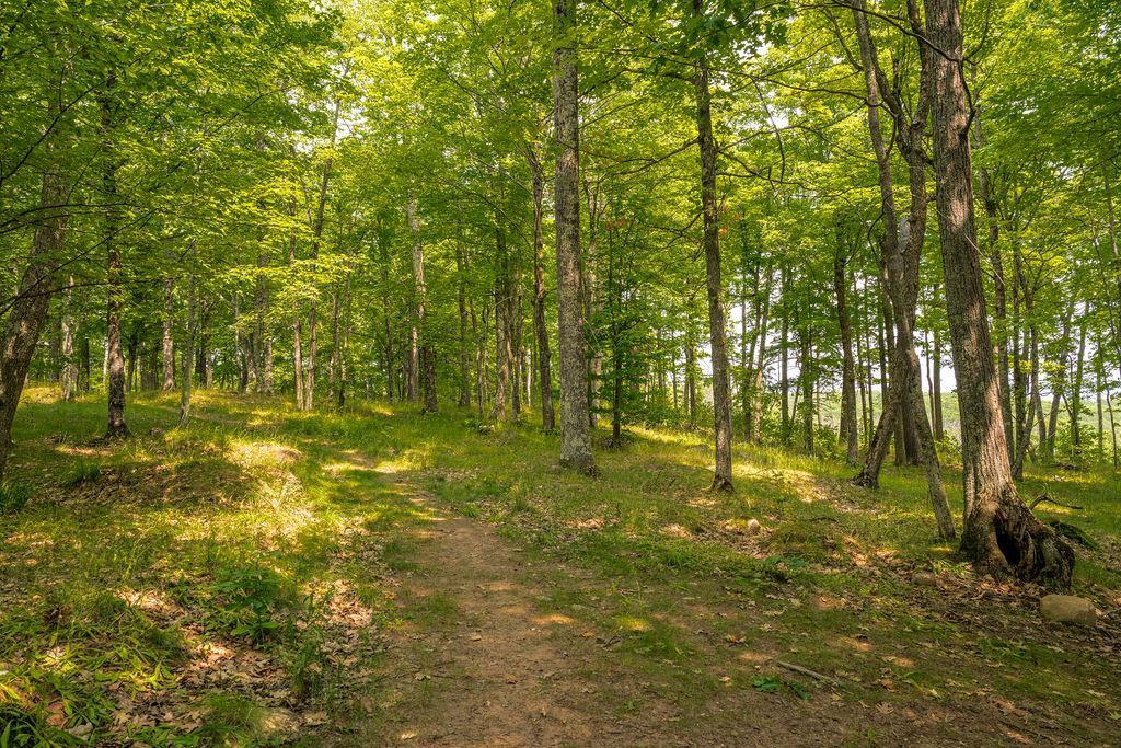 BayfieldLand-11.jpg