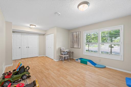 Lower-Level Flex Room