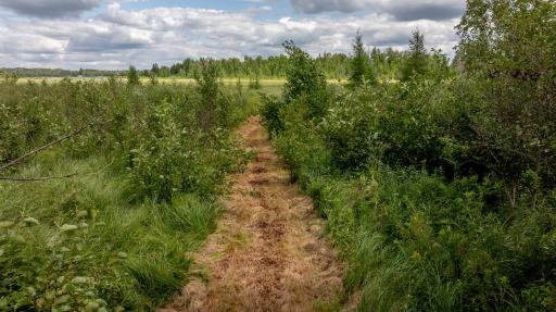 31120 State Highway 200, Laporte, MN 56461