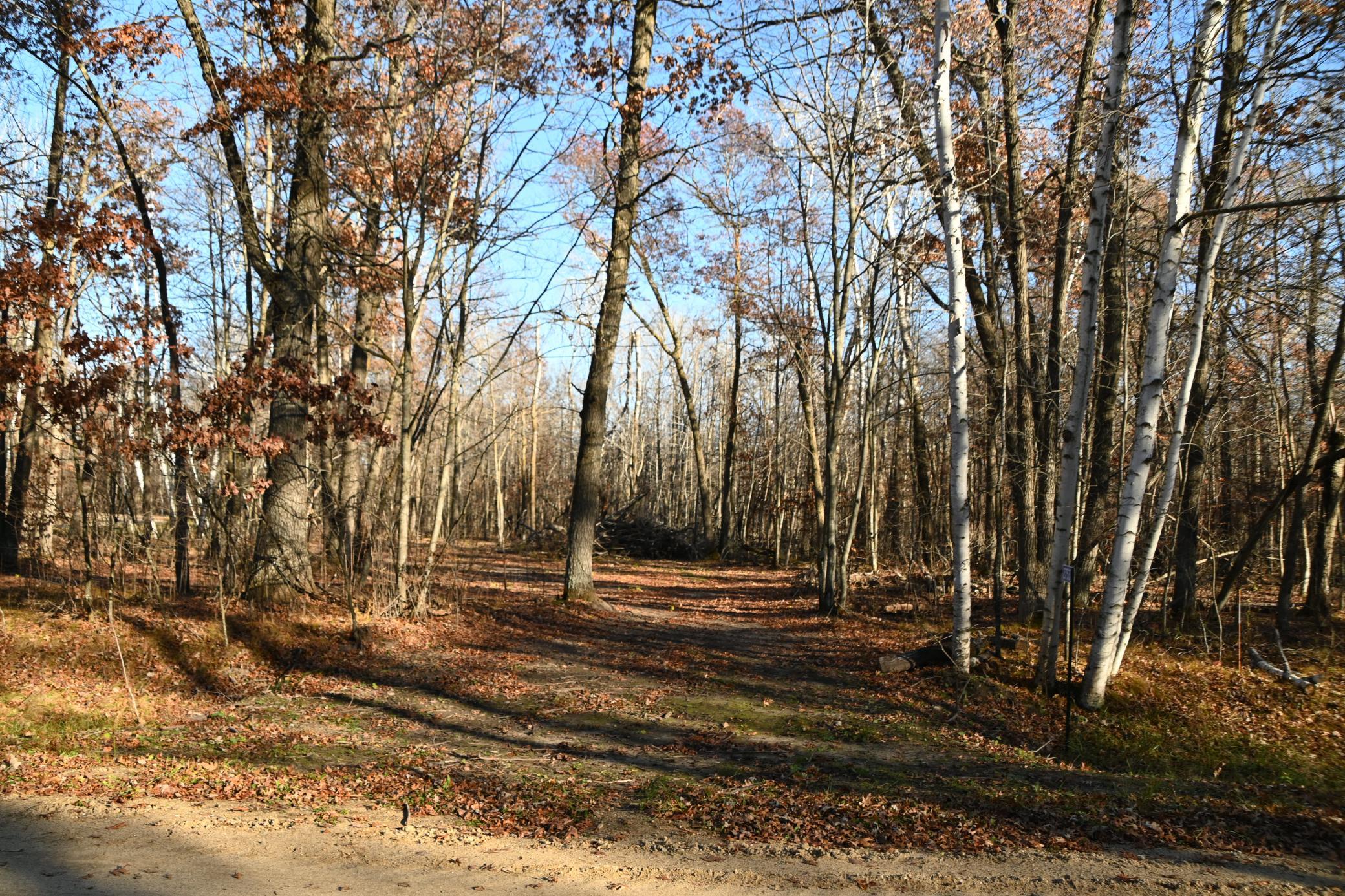 DSC_8690.JPG