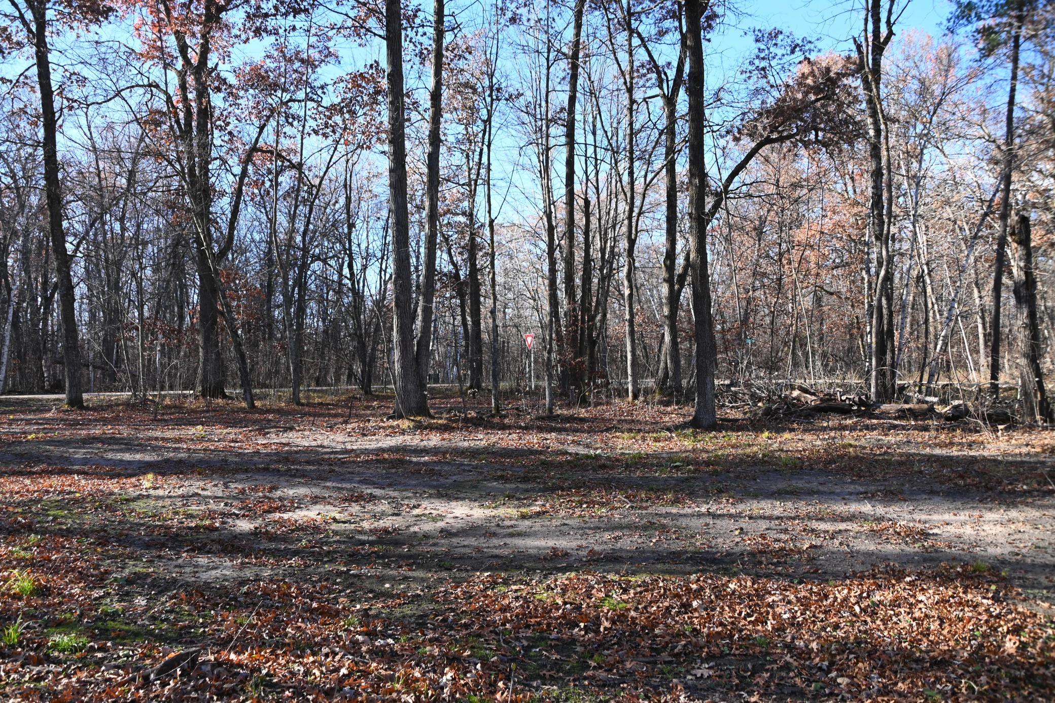 DSC_8693.JPG