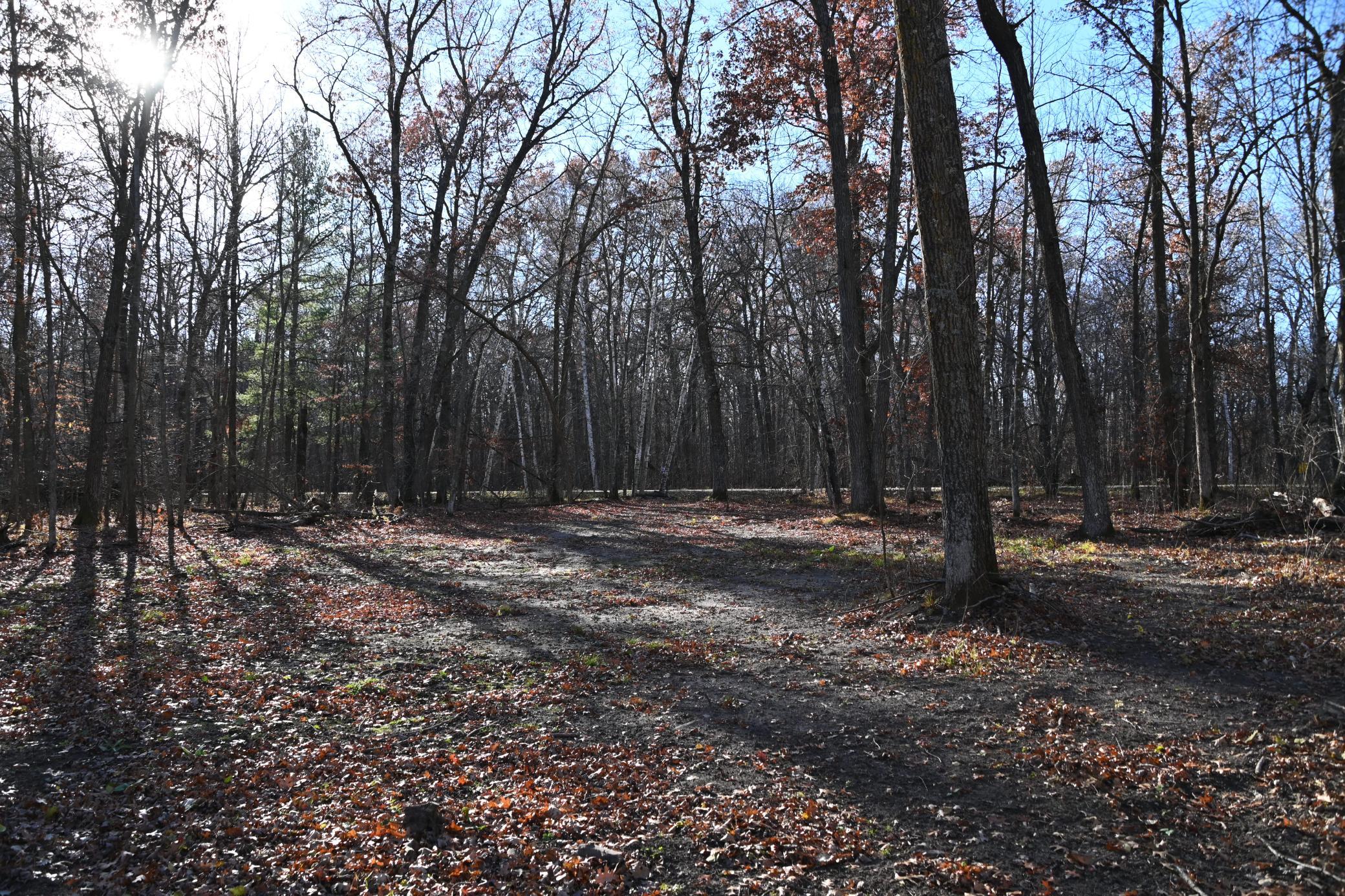 DSC_8696.JPG