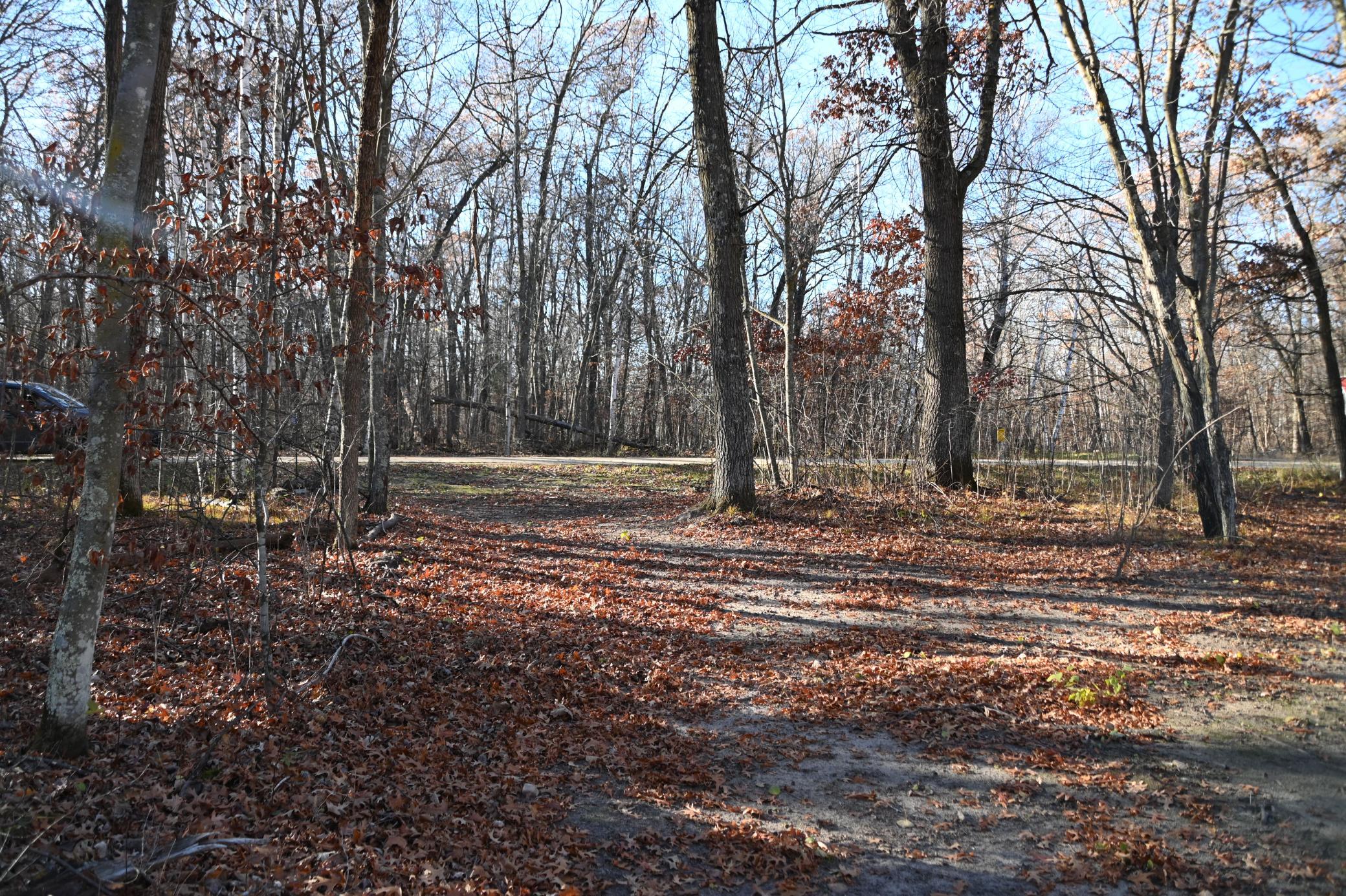 DSC_8698.JPG