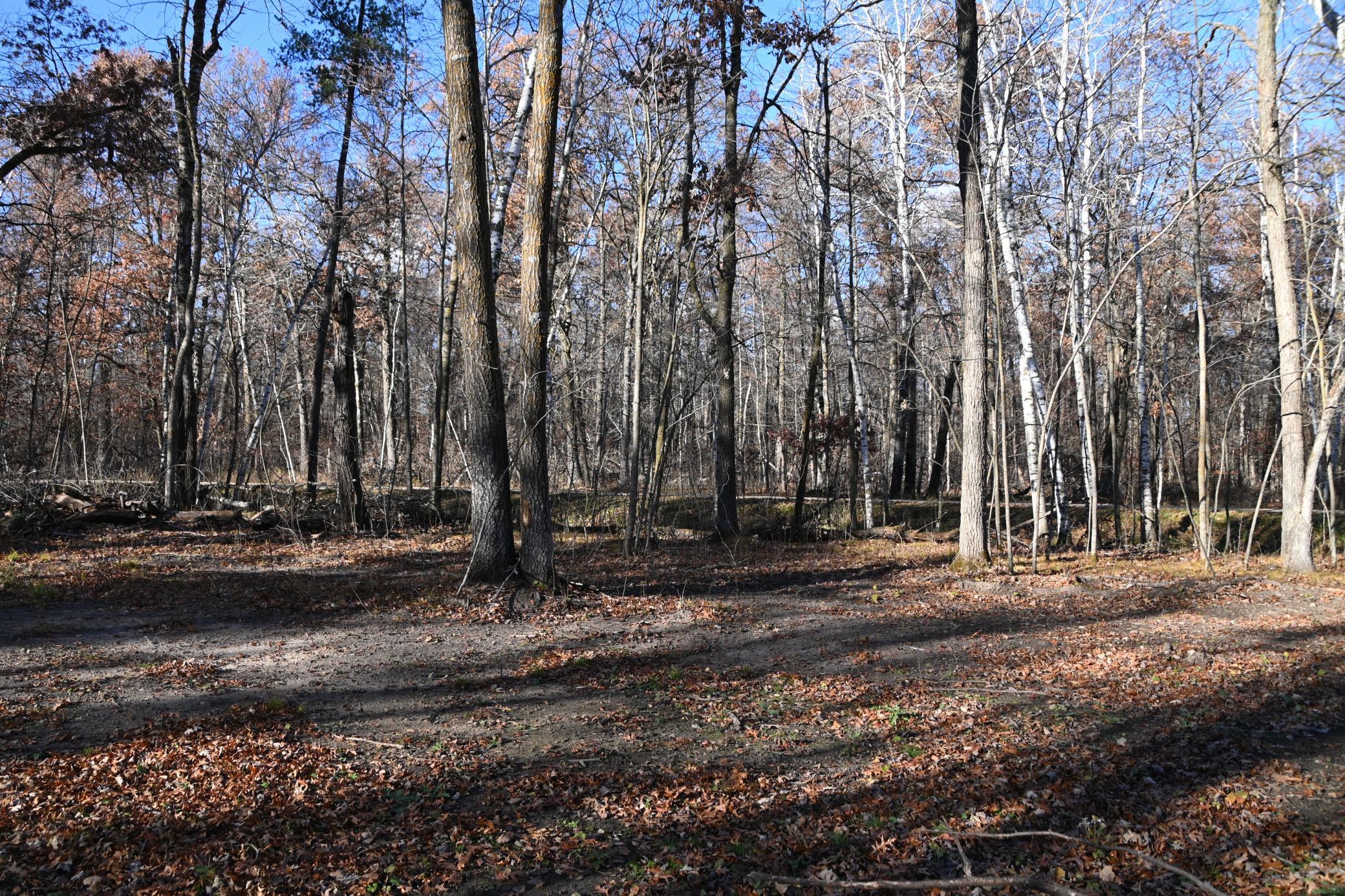 DSC_8694.JPG