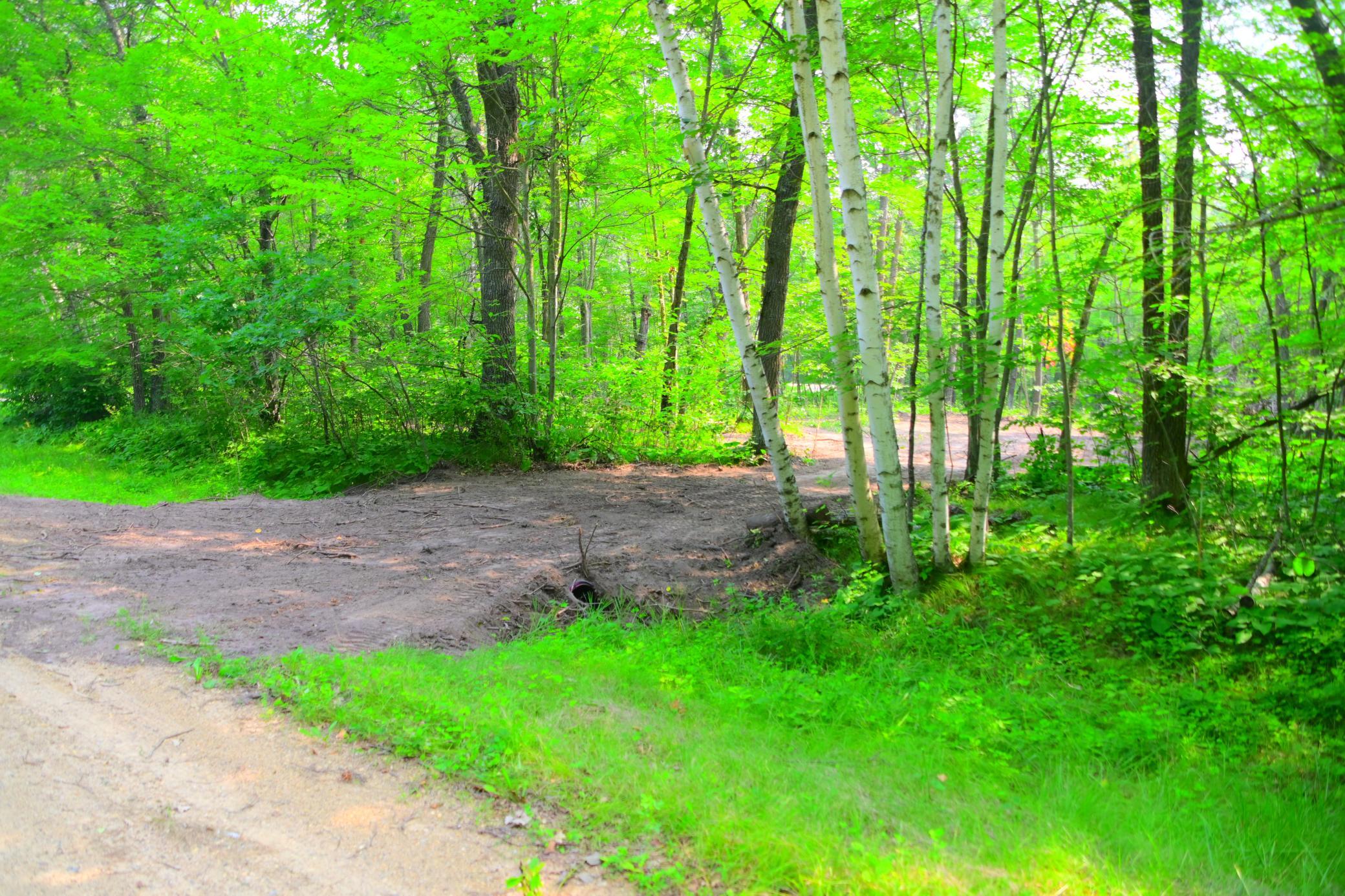 DSC_8319.JPG