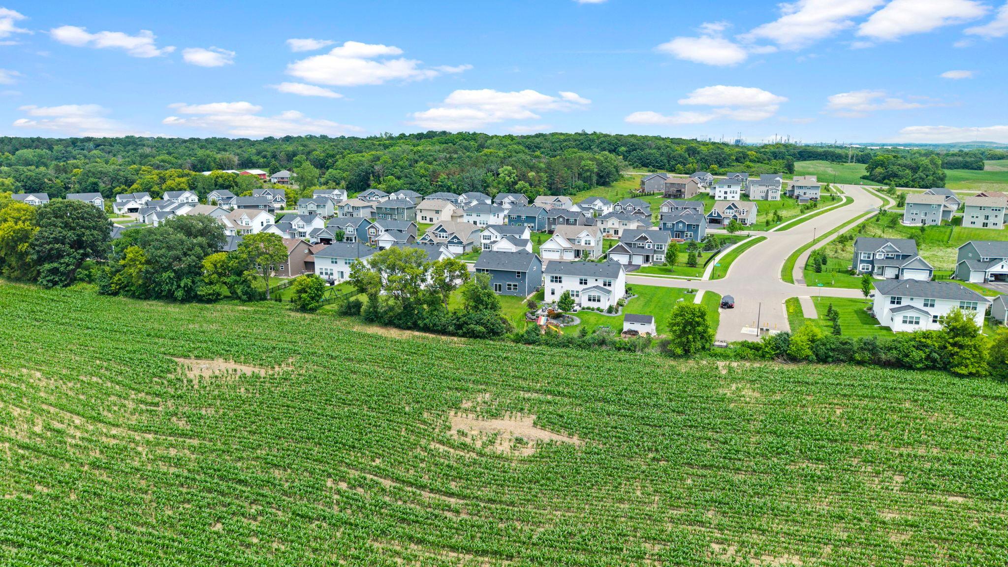 Rear views of open cropland enhance the property with privacy and a peaceful country atmosphere.
