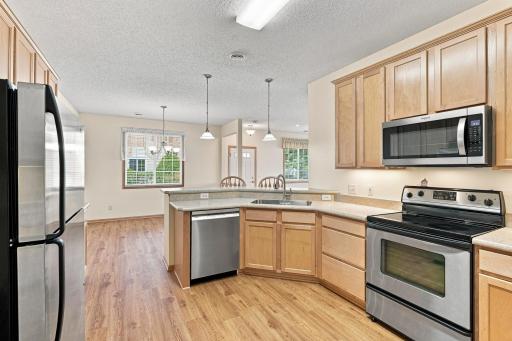 Maple Cabinets, SS Appliances, Pendant Lighting & Over-the-Counter Lighting