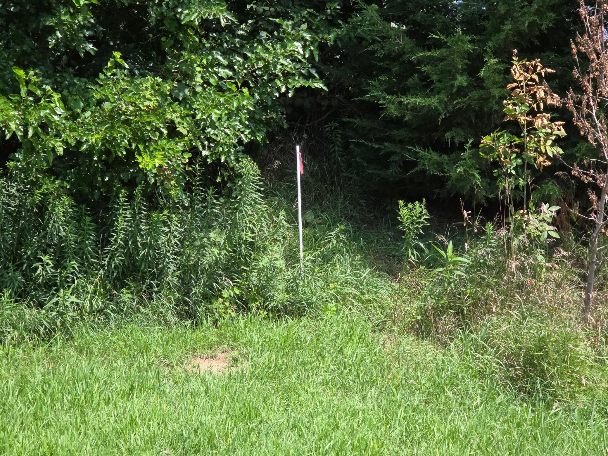 1105 80TH ST SE (49).jpg