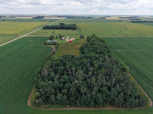 dji_fly_20260804_165714_0101_1785881144231_photo.jpeg