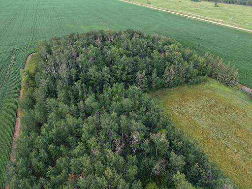 dji_fly_20260804_165740_0102_1785881143854_photo.jpeg