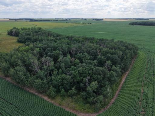 dji_fly_20260804_165652_0100_1785881144627_photo.jpeg