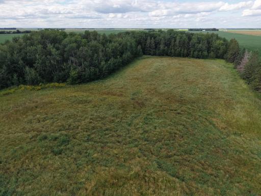 dji_fly_20260804_165620_0099_1785881145182_photo.jpeg