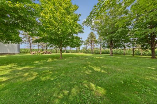 851 450th Street, Kenyon, MN 55946