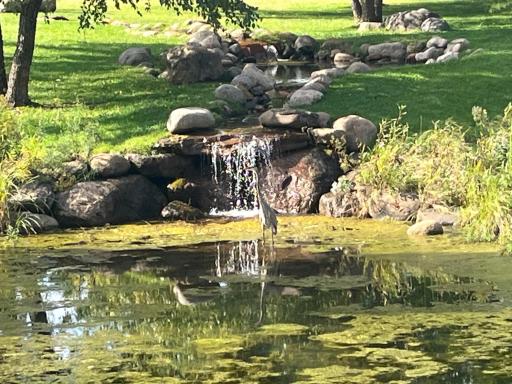 With water features of The Draw Park attract an abundance of wild life to see along the scenic walking paths.