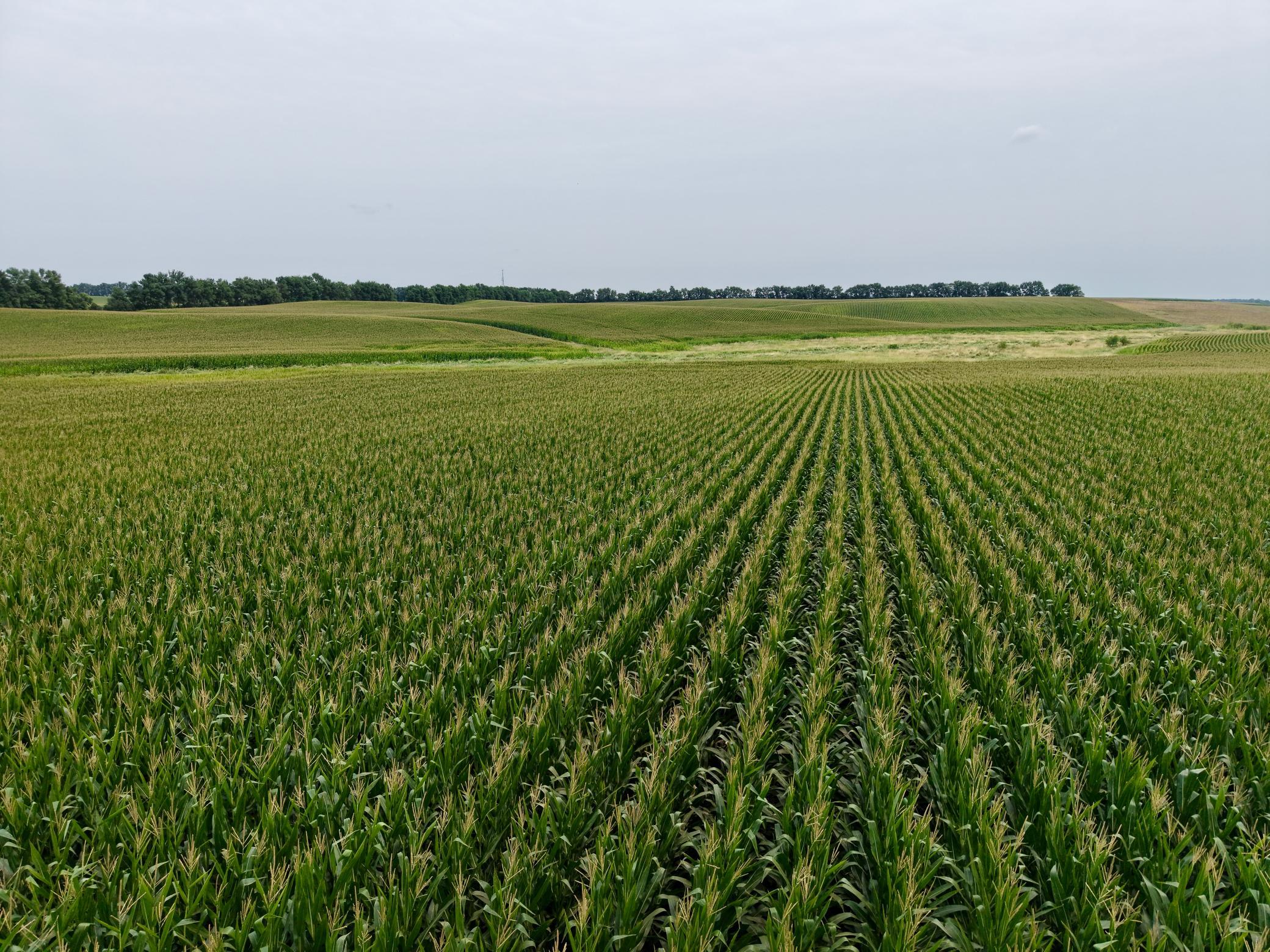 dji_fly_20260804_125330_0093_1785868690677_photo.jpeg