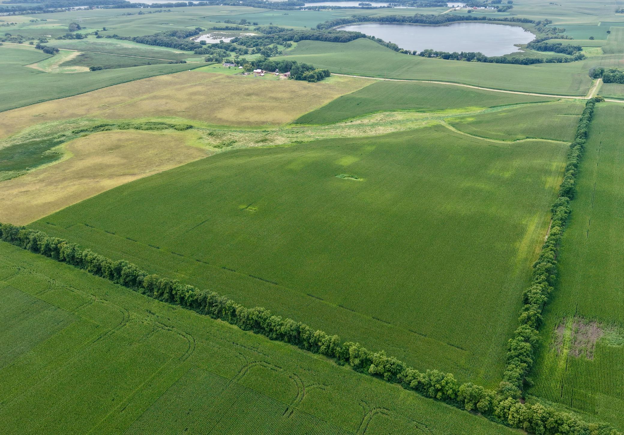 dji_fly_20260804_125034_0087_1785868726967_photo.jpeg