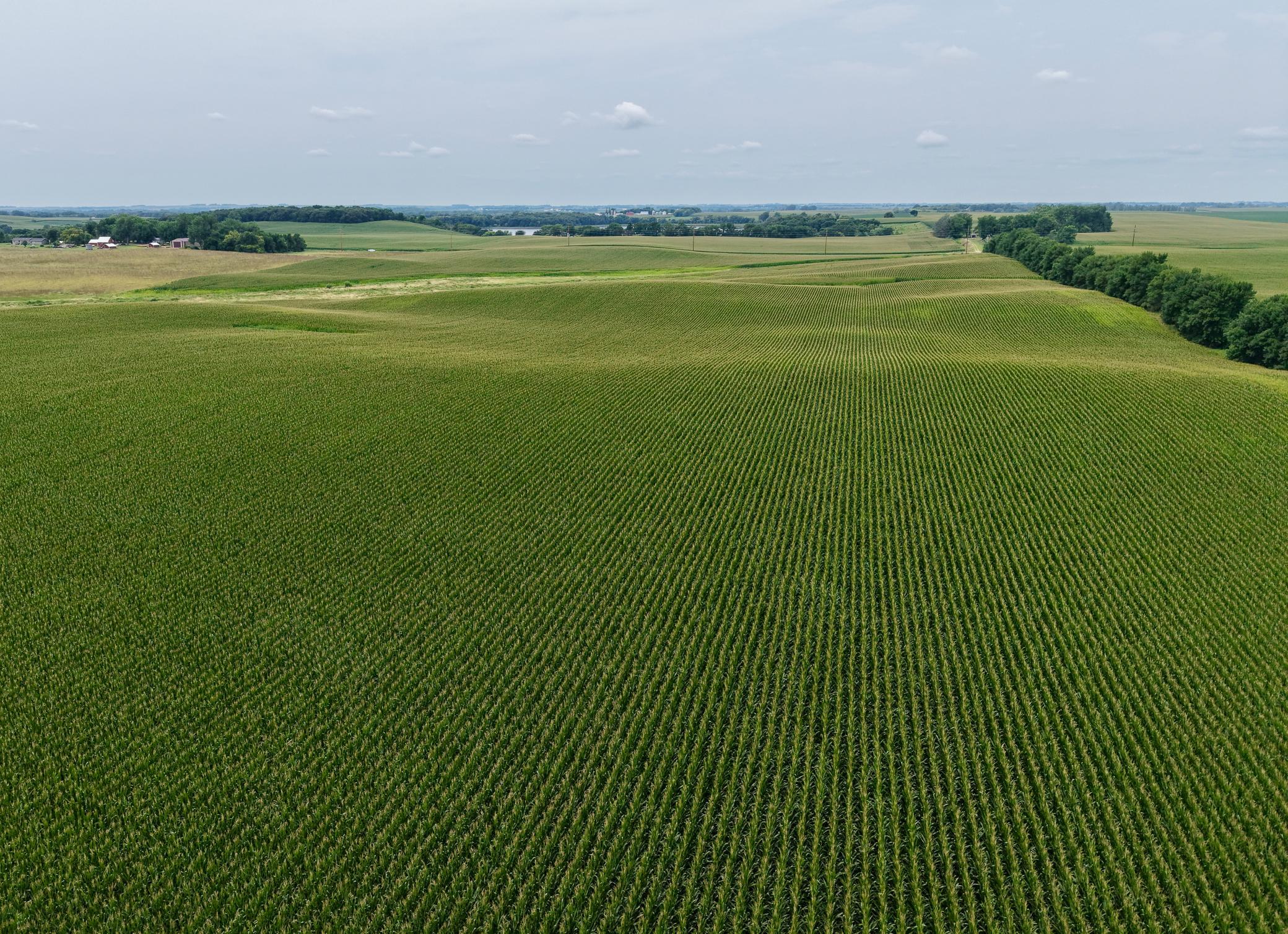 dji_fly_20260804_125100_0088_1785868725092_photo.jpeg