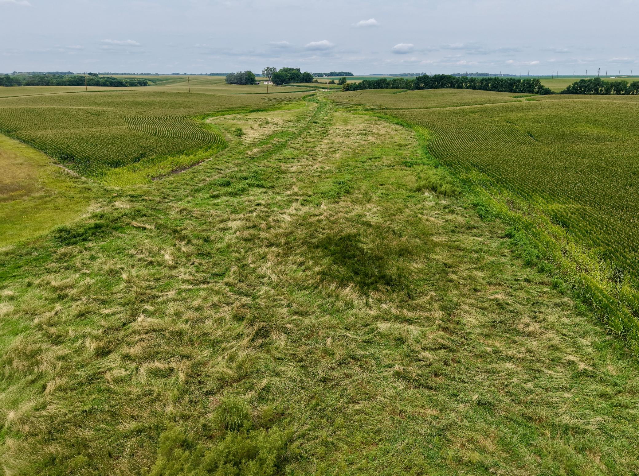 dji_fly_20260804_125158_0090_1785868714217_photo.jpeg
