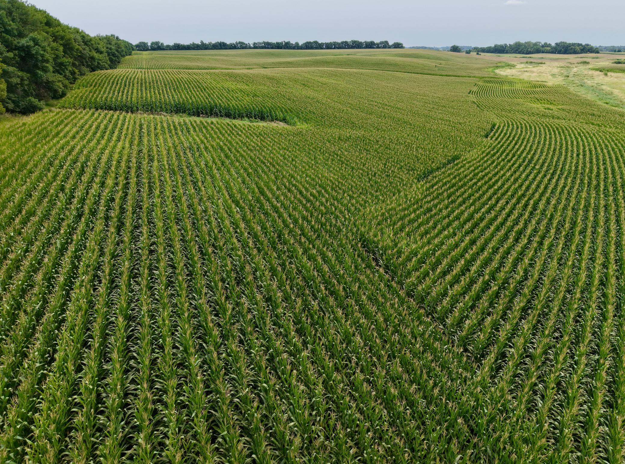 dji_fly_20260804_125306_0092_1785868692078_photo.jpeg