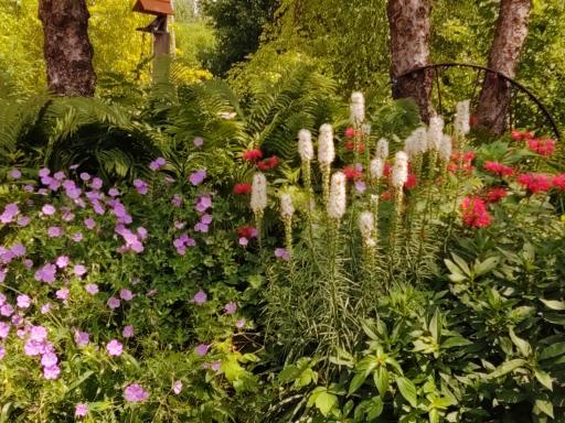 Pretty park