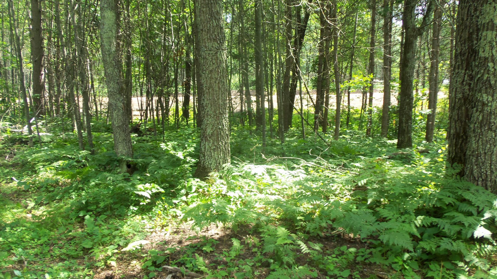100_6554.JPG