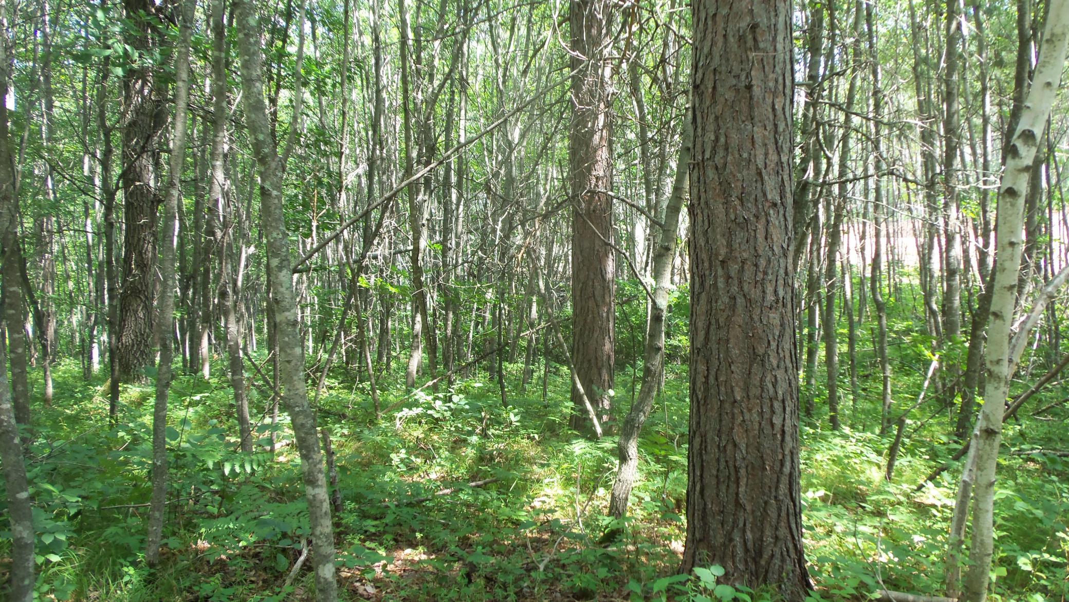 100_6552.JPG