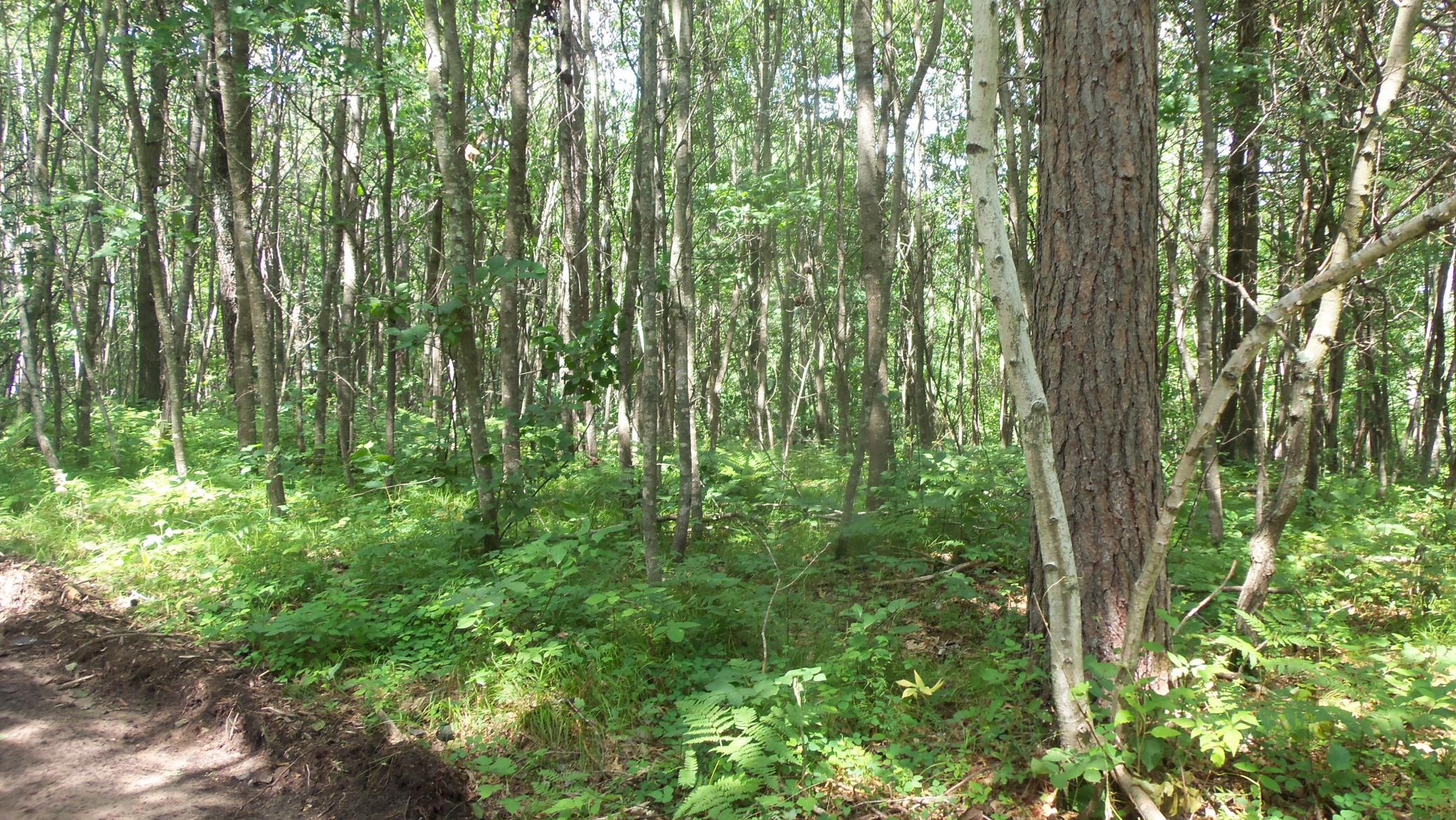 100_6551.JPG