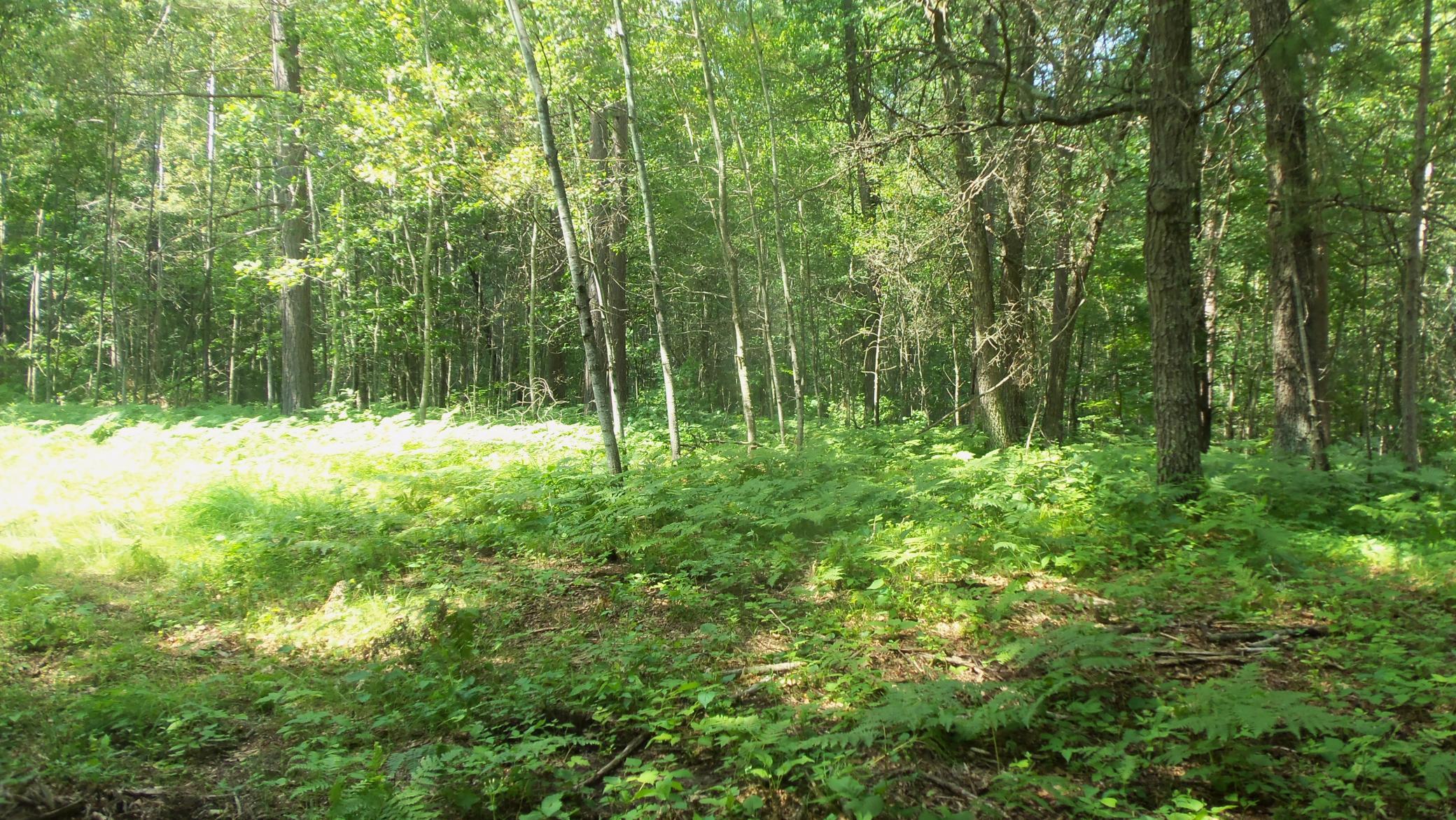 100_6553.JPG