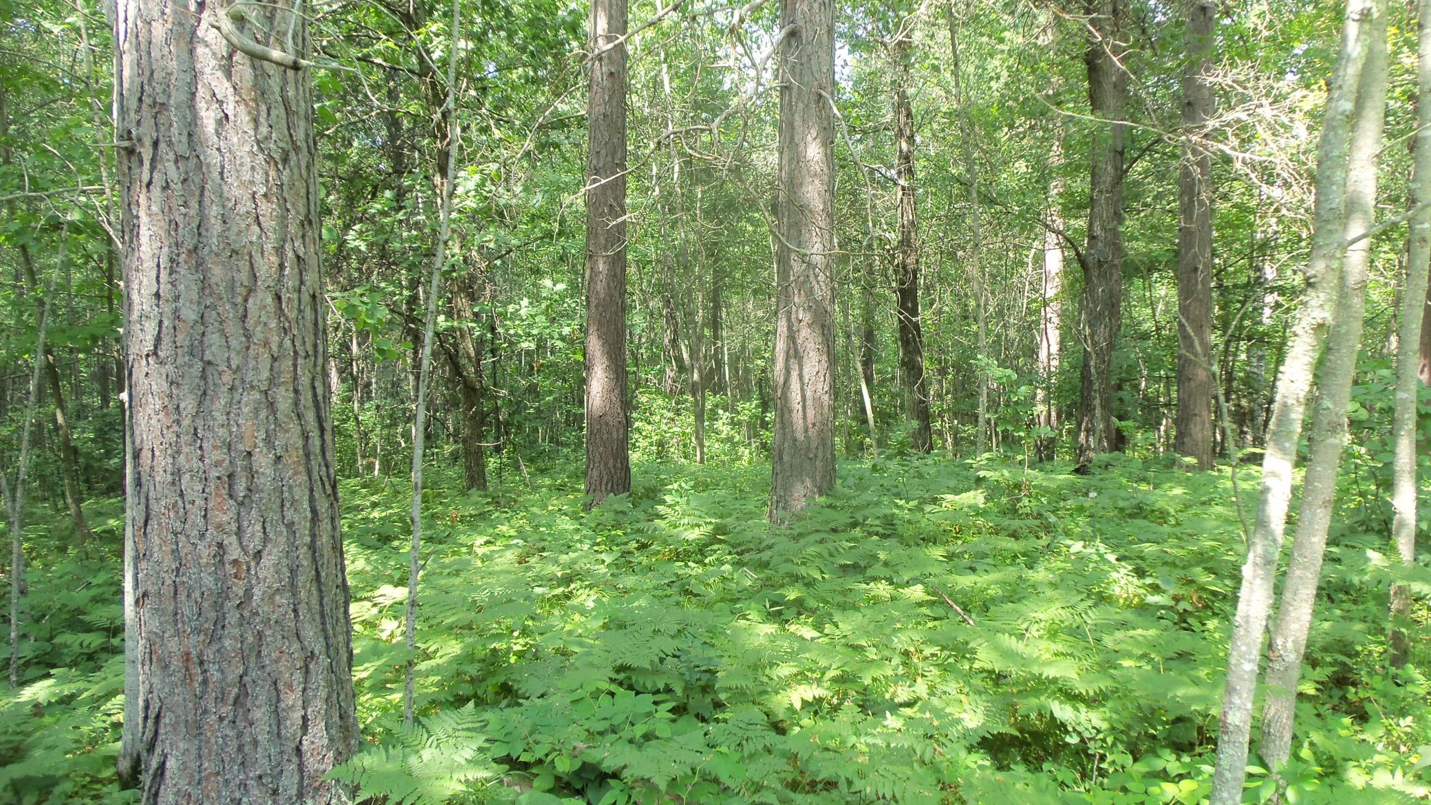 100_6555.JPG