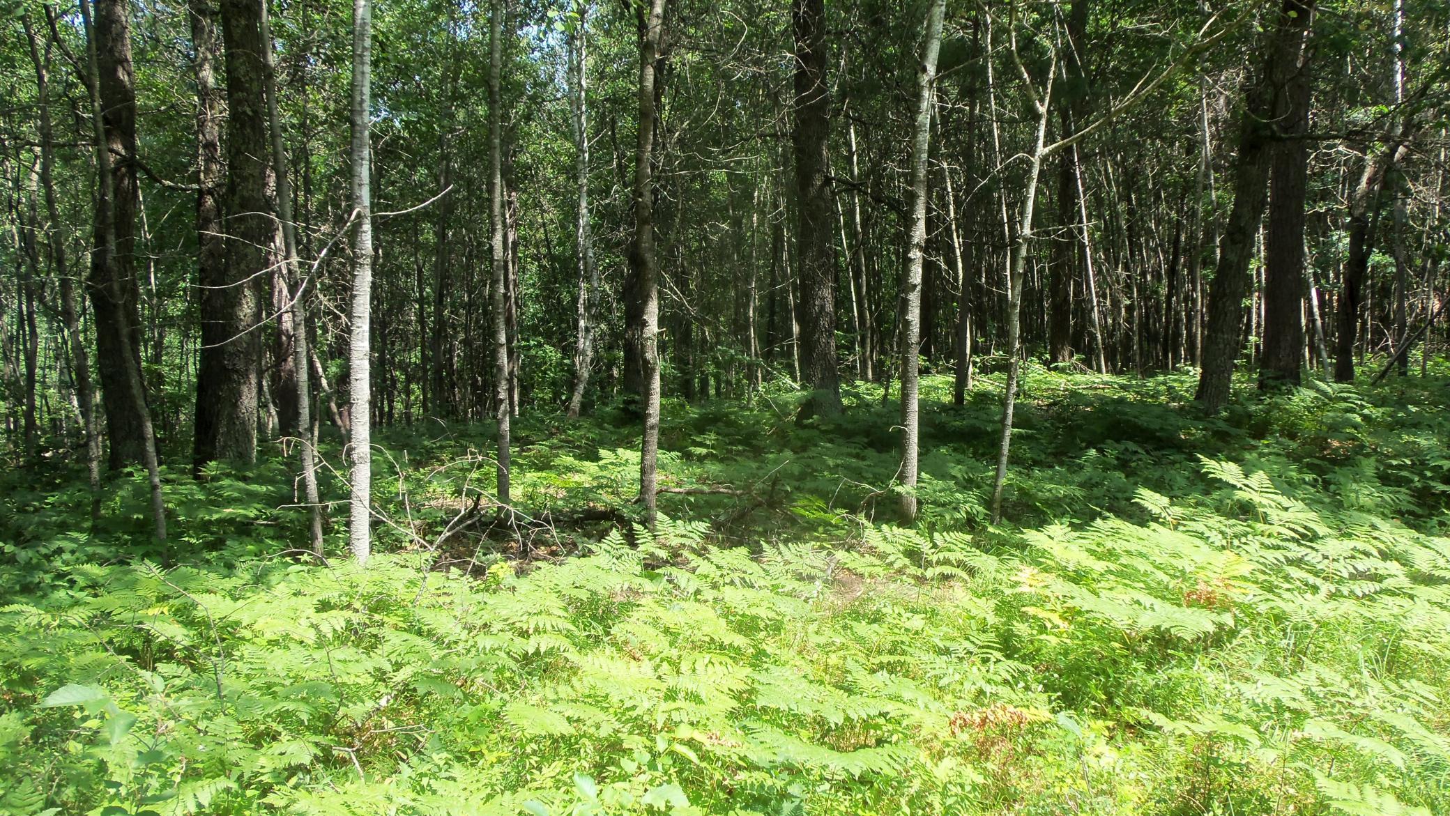 100_6556.JPG