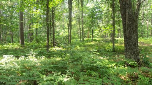 Lot 2 Birch Tree Trl, Spooner, WI 54801
