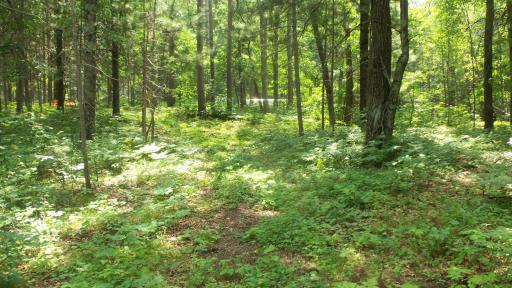 Lot 2 Birch Tree Trl, Spooner, WI 54801