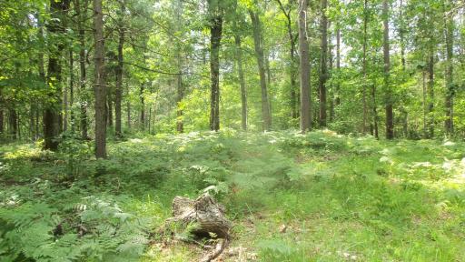 Lot 2 Birch Tree Trl, Spooner, WI 54801