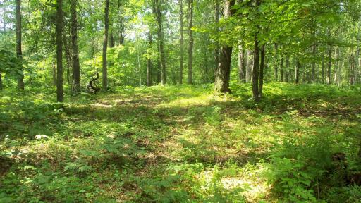 Lot 2 Birch Tree Trl, Spooner, WI 54801