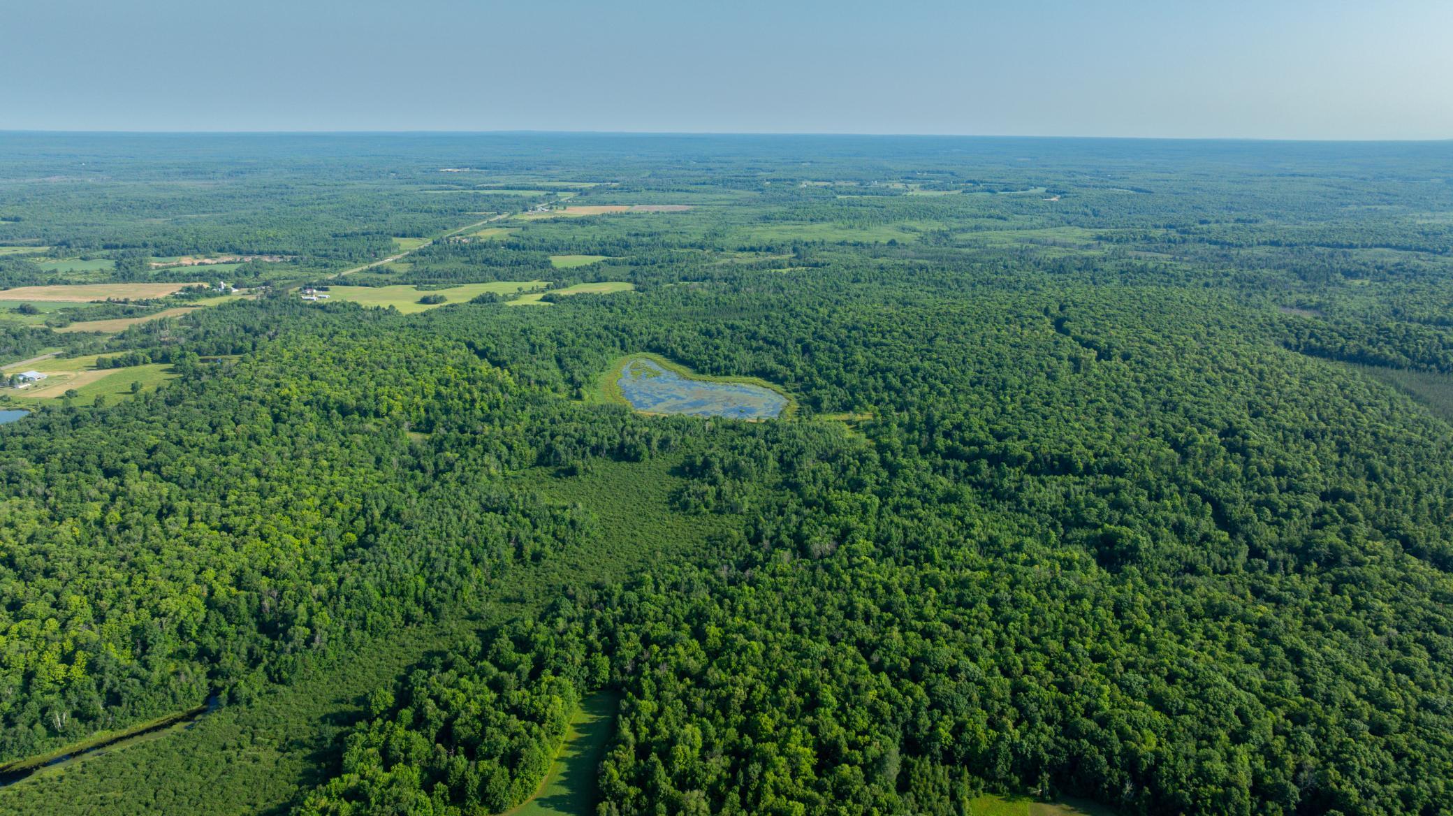 DJI_20260723084712_0647_D.jpg